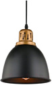 Потолочный светильник Arte Lamp Eurica A4245SP-1BK