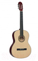 Акустическая гитара Terris TC-390A NA