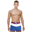 Atemi Плавки-шорты мужские для бассейна TSAE1C р-р 42 blue/violet
