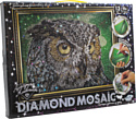 Danko Toys, Украина Набор креативного творчества "Diamond Mosaic" Сова (малый), DM-02-01