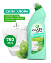 Гель дезинфицирующий чистящий GraSS "DOS GEL" Мятная сила, 750мл