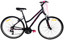 AIST Cross 1.0 W (2021)