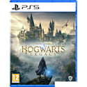 Hogwarts Legacy для PlayStation 5