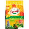 Удобрение Florovit Для хвойных осенний гранулированное (1 кг, мешок)