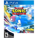 Team Sonic Racing для PlayStation 4