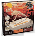 Набор для опытов Bradex Юный археолог DE0274 (тиранозавр)