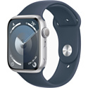 Смарт-часы Apple Watch S9 GPS 45mm (MR9D3LL/A) Silver