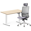 Комплект мебели Fit Focus cтол регулируемый, белый, сосна аланд полярная + кресло BESTUHL S30