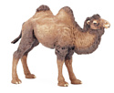 PAPO, Китай Коллекционная фигурка PAPO. Двугорбый верблюд, 50129