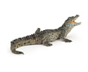 PAPO, Китай Коллекционная фигурка PAPO. Крокодил., 50137