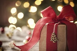 Новогодние праздники: выбираем подарки для родителей