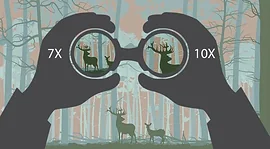 Как выбрать бинокль и зрительную трубу?